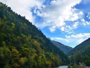 大山包旅游新篇，最新生态秘境与特色体验全攻略