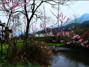 从北京到婺源，2015年一场穿越都市与古村的春日之约