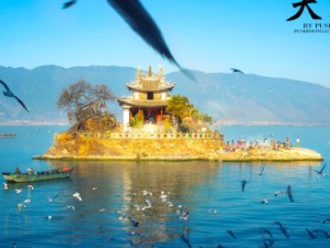 1月去大理丽江，邂逅暖阳与风花雪月的冬日限定浪漫