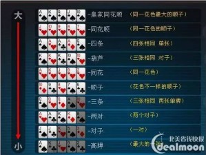EVPOKER扑克注册全流程详解，从零开始加入线上德州扑克平台