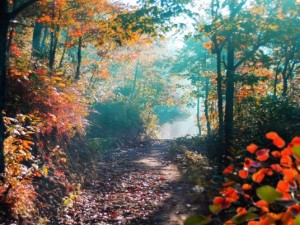 二月暖游粤桂，邂逅南国春色与山海奇景