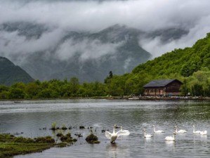 大九湖，神农架深处的高山湿地诗画，每一帧都是治愈风景