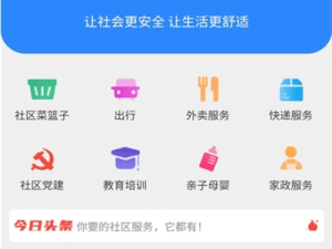 丽都平台下载，一站式数字生活服务的便捷入口