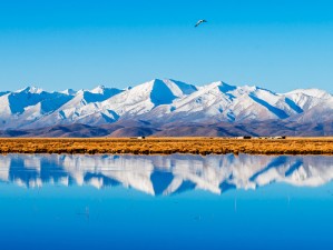 西藏山南，溯源藏文明，邂逅雪域秘境中的江南