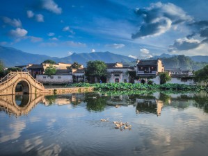 黟县8月，当盛夏遇上徽州古韵，赴一场清凉与时光的邀约
