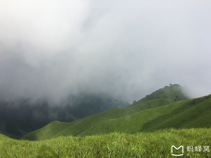 从魔都到云端，上海出发，探秘明月山与武功山的绝美之旅