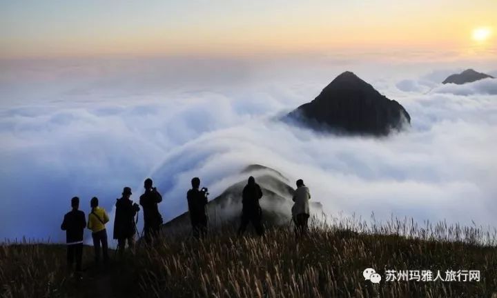 从魔都到云端，上海出发，探秘明月山与武功山的绝美之旅