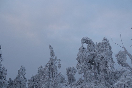 衡山冬日，雪舞南岳，禅意悠然