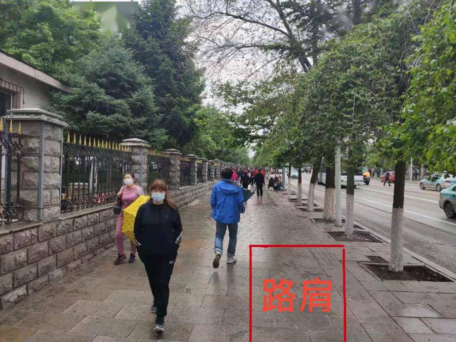 顺城区最新天气预报查询指南，精准掌握天气动态，出行生活更从容