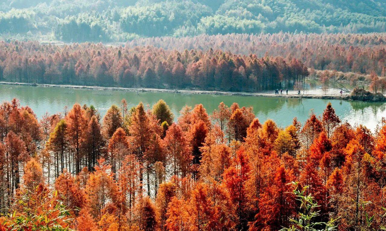 大理10月，邂逅人间理想秋色，解锁最佳旅行时光