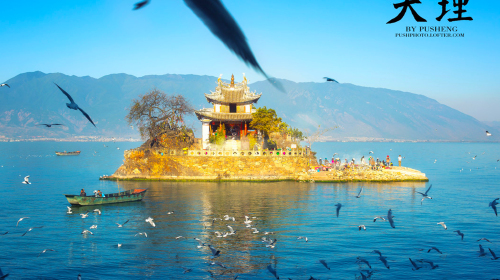 1月去大理丽江，邂逅暖阳与风花雪月的冬日限定浪漫