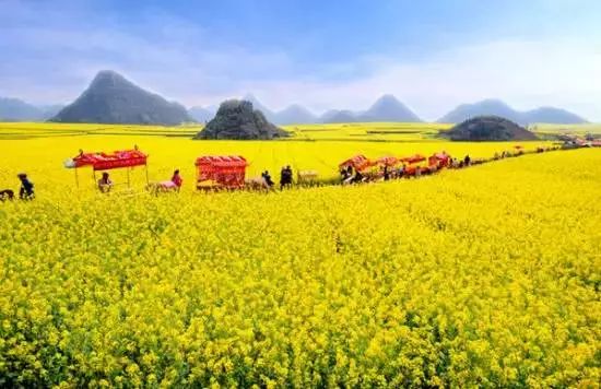 婺源二月，邂逅早春油菜花与水墨徽州的年味余韵