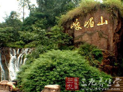 12月峨眉山旅游攻略，雪域佛国的极致体验与费用全解析