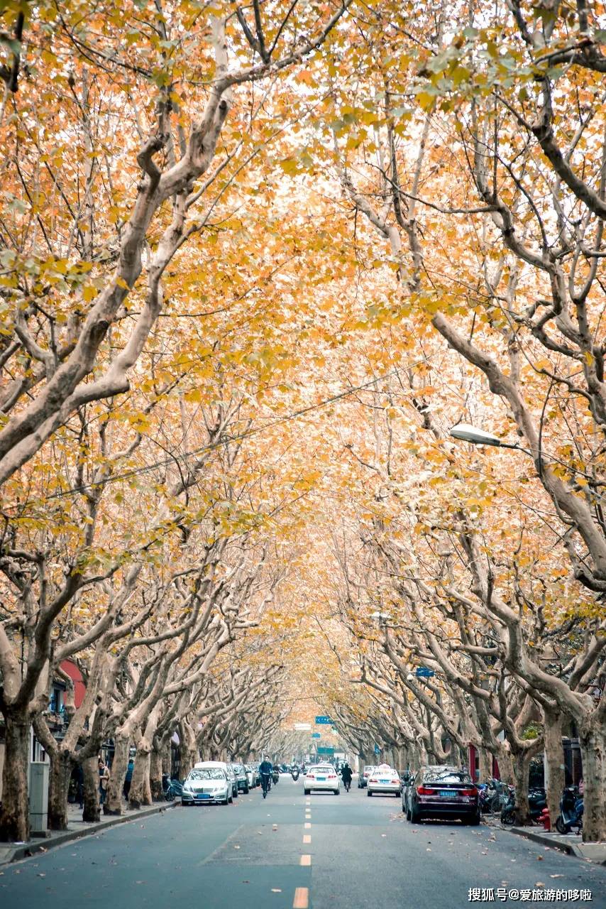 沪上冬韵未尽，春意初萌——2月上海旅游全攻略