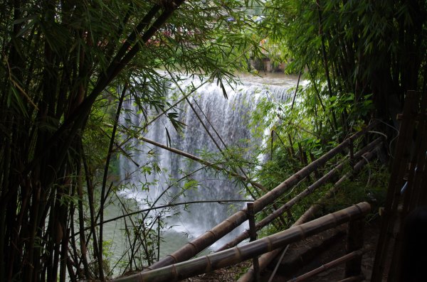 南山竹海，竹韵氤氲间，邂逅一场暖意泉生