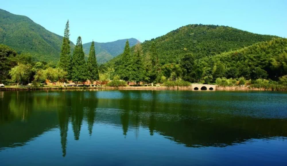 南山竹海，竹韵氤氲间，邂逅一场暖意泉生