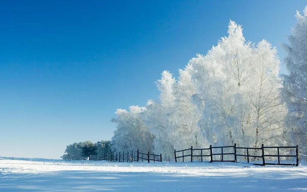 冬游泰山，雪落岱宗，别样风情