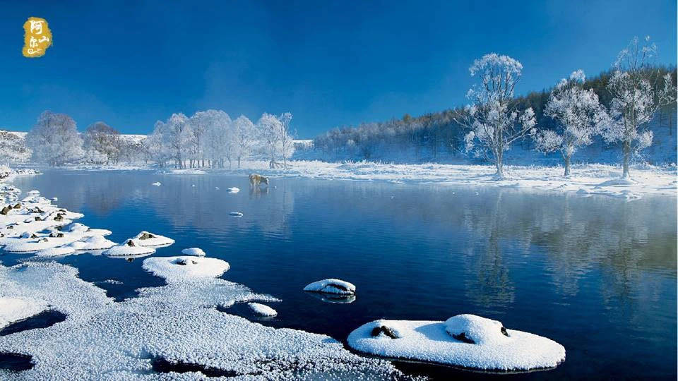 从黄河之滨到林海雪原，银川至阿尔山千里自驾，邂逅塞北的极致风光