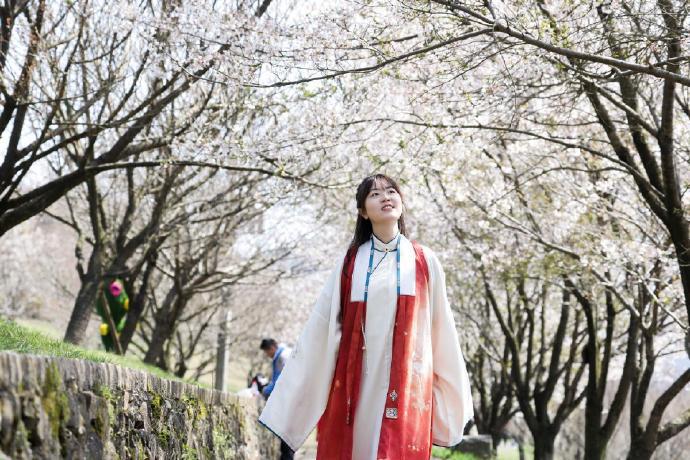 3月4日，赴一场日本的早春之约——在梅香与樱蕾间遇见温柔