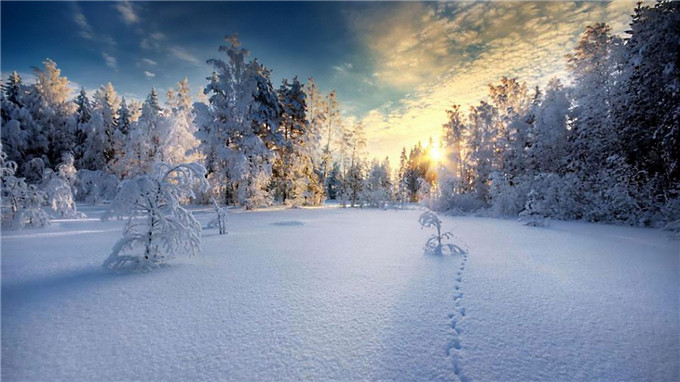 五日雪踪，寒假慢行，与雪景温柔相拥