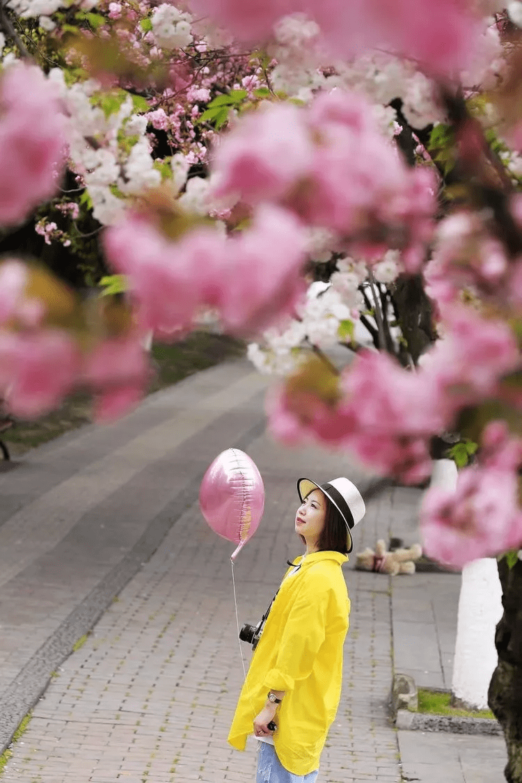 樱花季赴日，赴一场粉色的浪漫之约