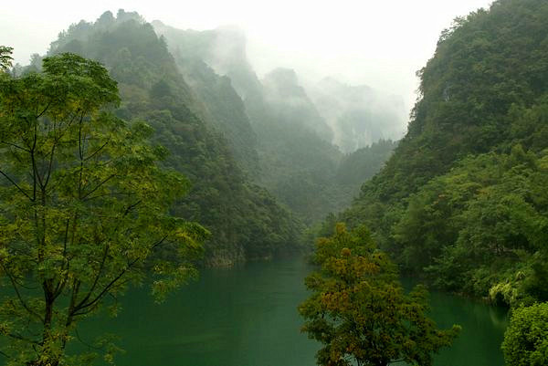 重庆金佛山2日游，云端仙境奇景全览，慢品喀斯特秘境