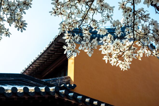 雪落少林，禅冬入画——冬季赴一场千年古刹的静心之约