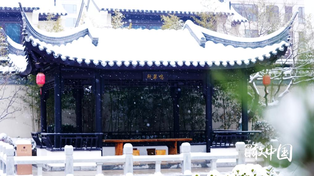 雪落少林，禅冬入画——冬季赴一场千年古刹的静心之约
