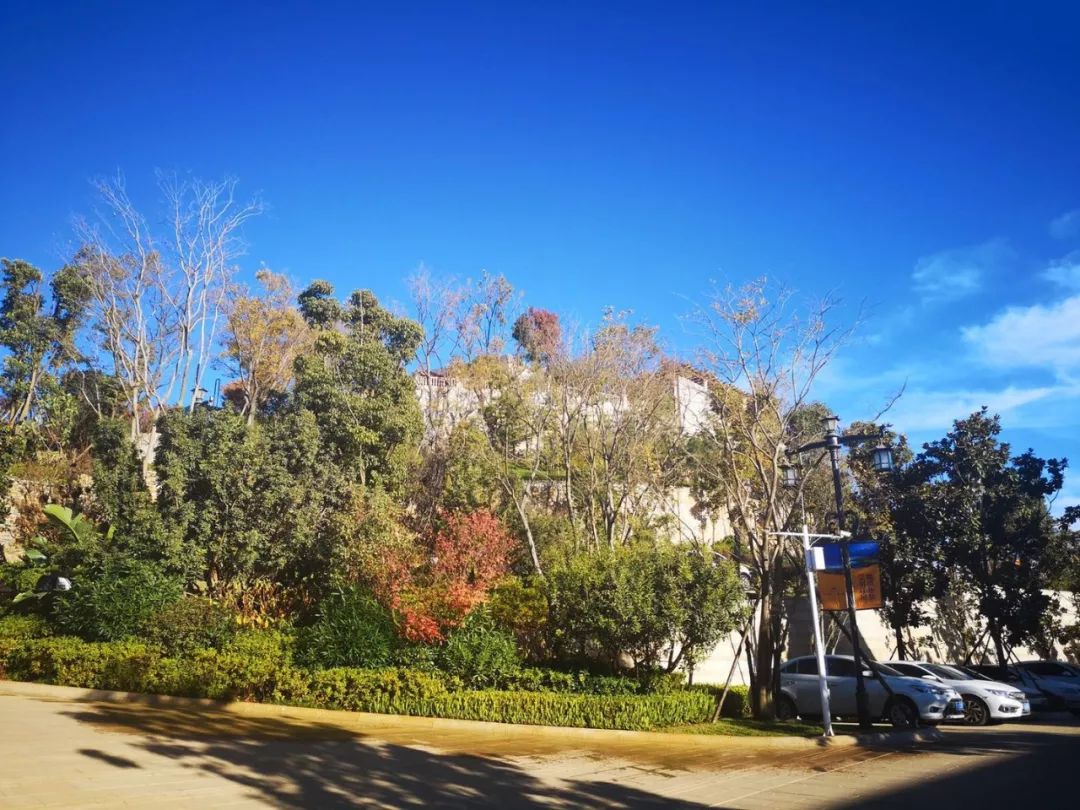 北京出发，8天玩转七彩云南，从京城繁华到滇南秘境的治愈之旅