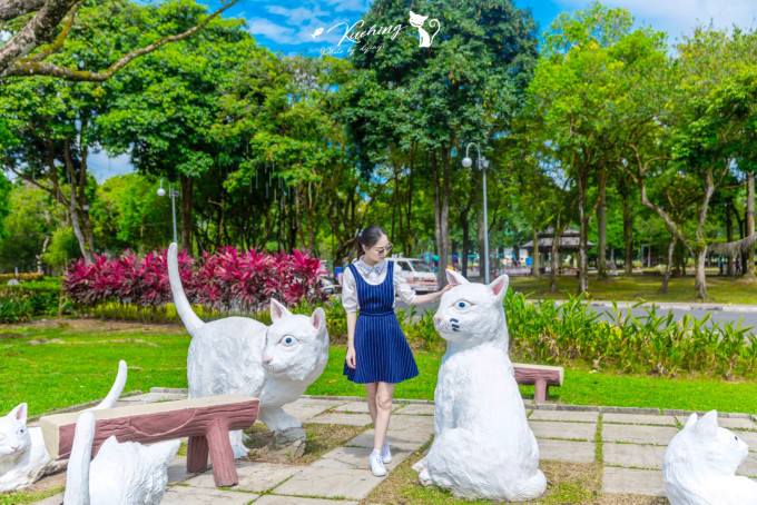 古晋最新旅游攻略，解锁猫城新玩法，邂逅婆罗洲的自然与人文秘境