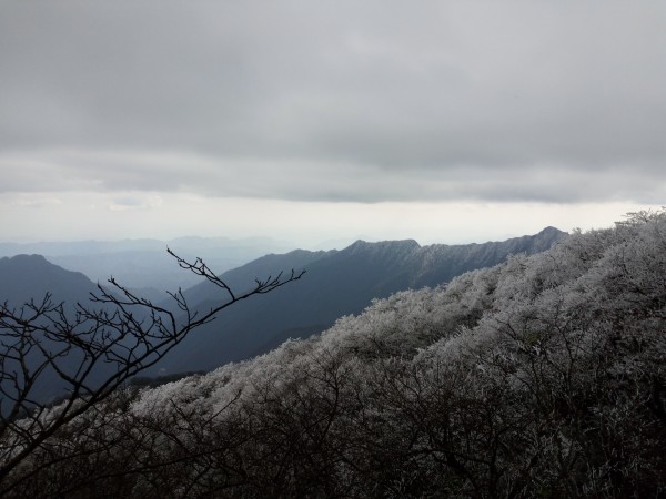 阿辉的张家界，在奇峰云海间，与山水和解