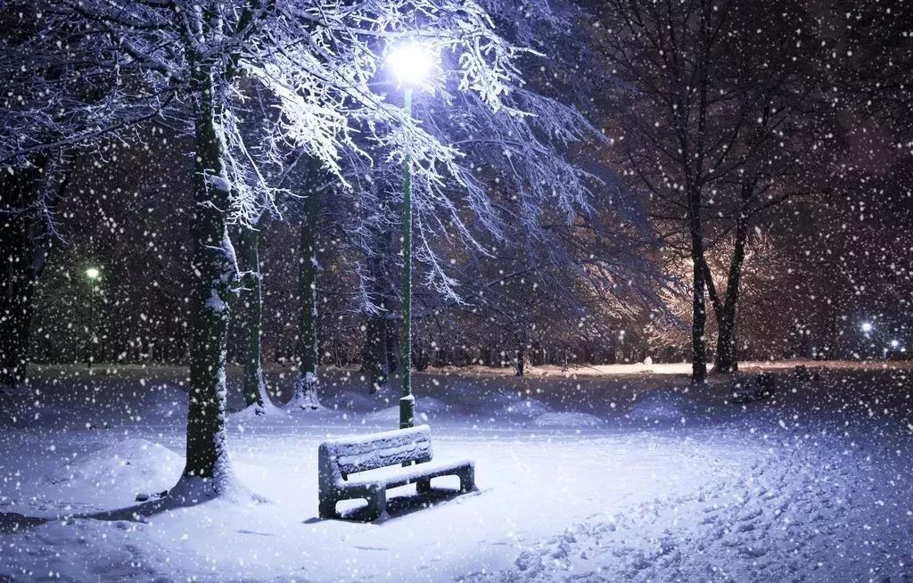 雪落达里湖，一场与冰雪的深情对话