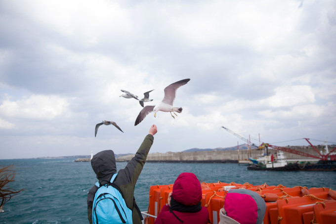 2015南澳岛春节，海风里的年味与诗画之旅