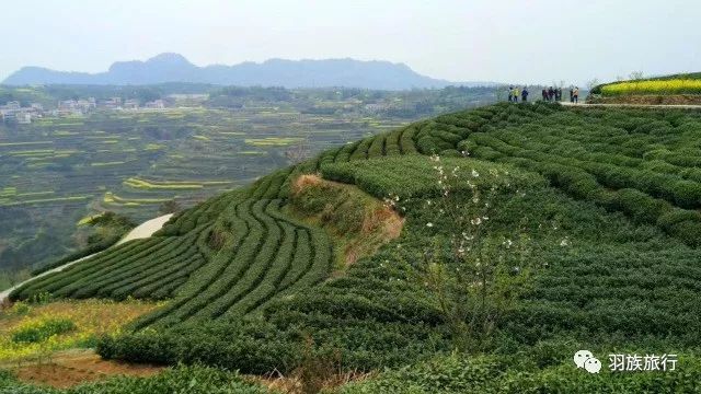 太星山风景区，寻幽探秘，邂逅山水间的诗与远方