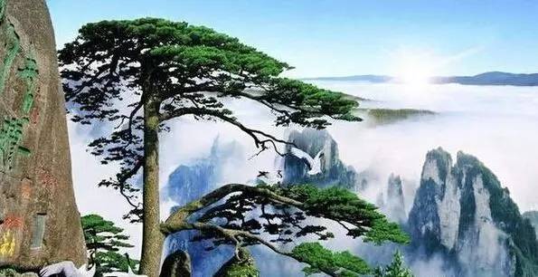 黄山自由行攻略，在云海奇松间，解锁徽州山水最本真的模样