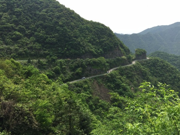 水墨汀溪，一幅流动的水墨画卷，一场治愈心灵的山水之旅
