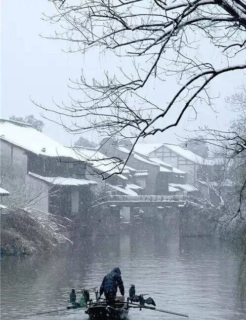 冬日南京，时光慢煮的暖意与诗意