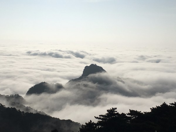 厦门到黄山，一场山海与云海的自助游之旅