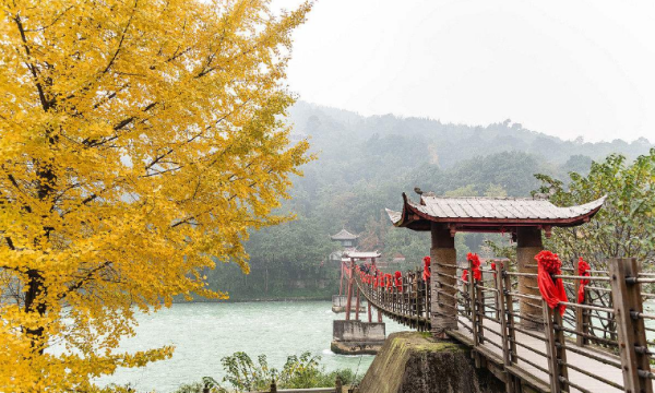 五月青城山，绿意深处，寻一场幽梦入画来