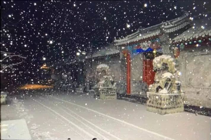 冬日漫游东京，在雪与暖意间邂逅人间烟火