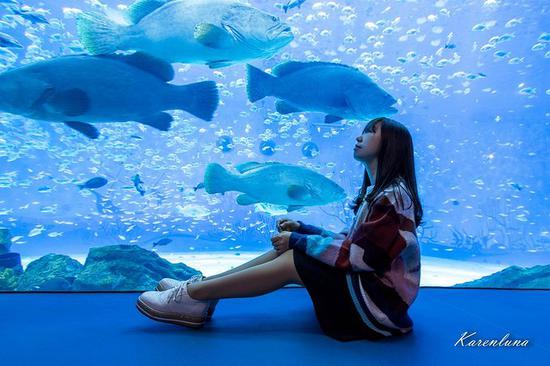 溱湖海洋世界，在湿地与蔚蓝间邂逅一场奇妙的双生之旅