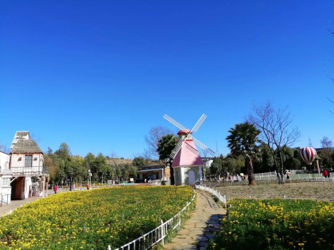 二月春城昆明，赴一场与温暖的浪漫邂逅