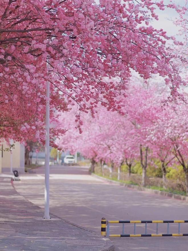 3月四川，春暖花开，邂逅山水间的诗与远方