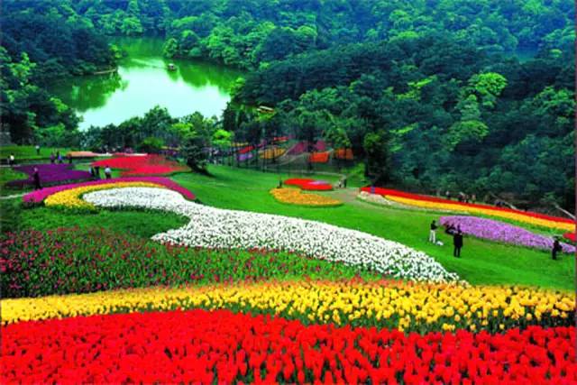 3月四川，春暖花开，邂逅山水间的诗与远方