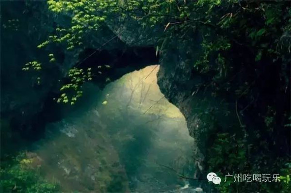 探秘湖北双瑰宝，神农架的原始野趣与武当山的仙风道骨