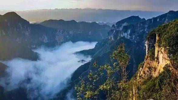 金佛山2日游，邂逅云端秘境，解锁喀斯特奇景与佛光禅韵