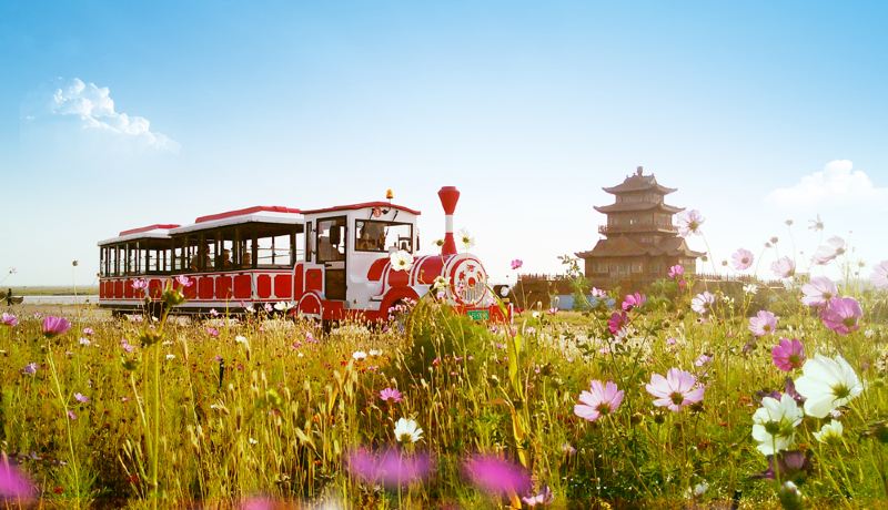 银川吴忠，在黄河与西夏之间，邂逅塞上江南的诗意与烟火