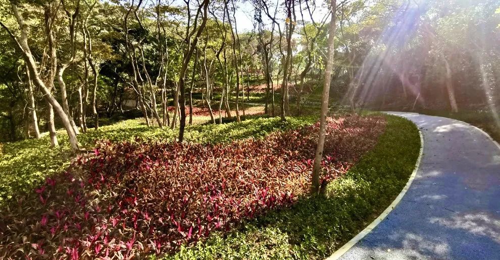 三月踏青去，不负春光，邂逅5个最美旅行地