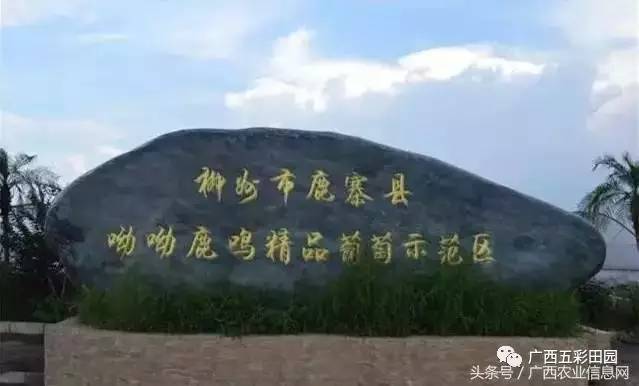广西金天下，探秘八桂秘境，邂逅山水与人文的交响