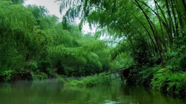 南山竹海御温泉，邂逅山水清欢，沉醉温润时光
